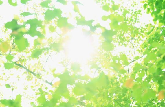 広島の社長さん36協定忘れてませんか?